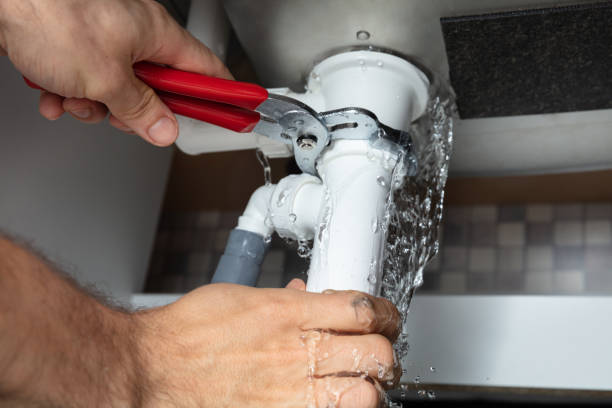 Best Water damage contractors near me  in East Hazel Crest, IL