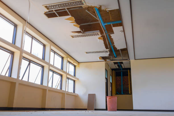 Best Residential water damage restoration  in East Hazel Crest, IL