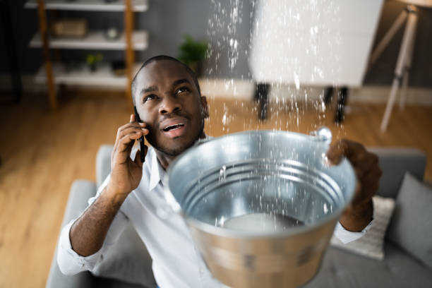 Best Flooded house restoration  in East Hazel Crest, IL