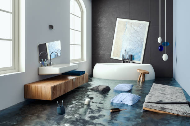 Best Flood damage cleanup  in East Hazel Crest, IL