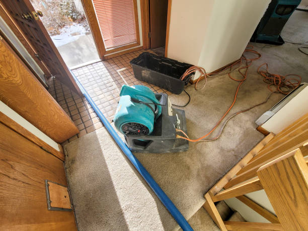 Best Ceiling water damage repair  in East Hazel Crest, IL