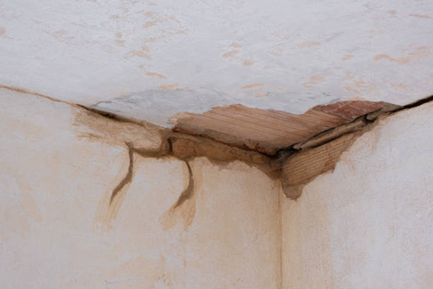 Best 24/7 water damage repair  in East Hazel Crest, IL