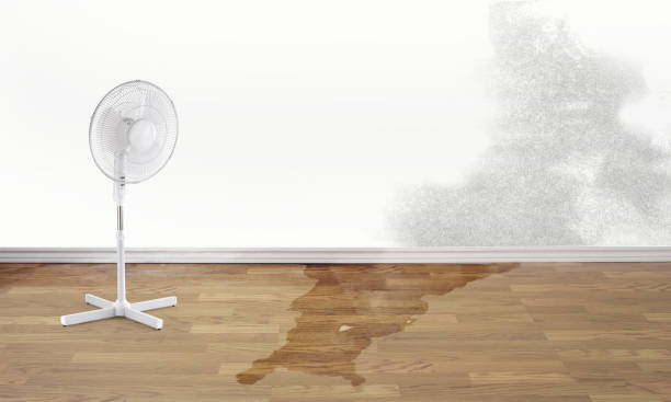 Best Fire Damage Restoration  in East Hazel Crest, IL