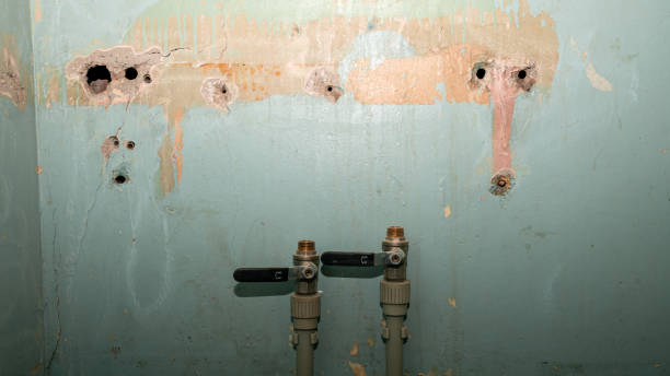 Best Emergency water extraction  in East Hazel Crest, IL