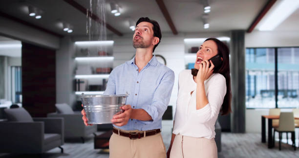 Best Professional water damage repair  in East Hazel Crest, IL